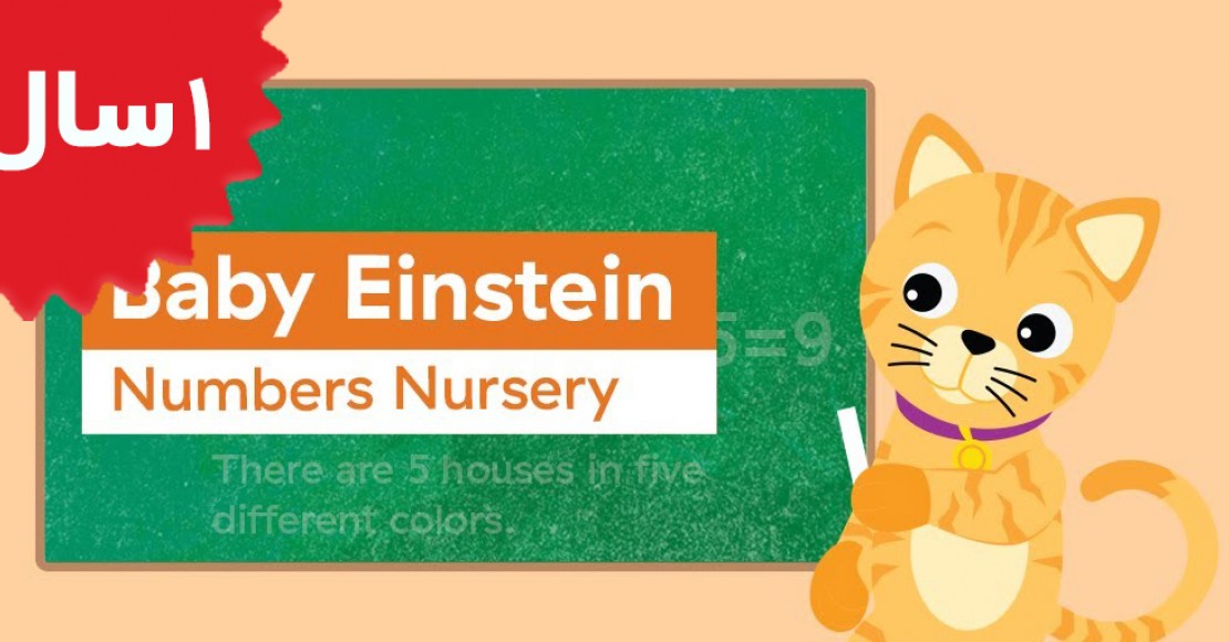 Baby Einstein.Counting To 5 Toddler