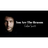 Calum Scott_You Are The Reason ( همراه با ترجمه )