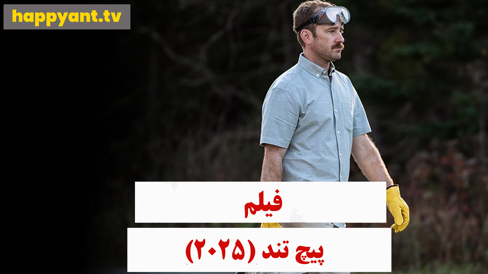 پیچ تند (2025)