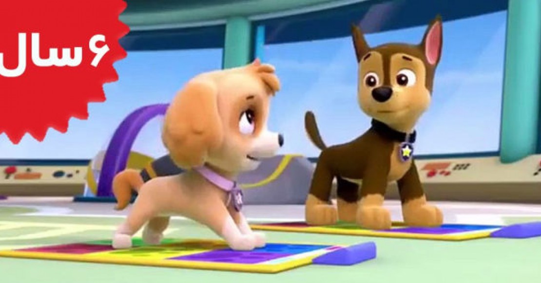 Paw Patrol. Pups and the Kitty-tastrophe