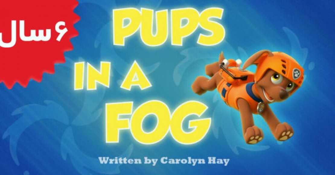 Paw Patrol.Pups in a Fog