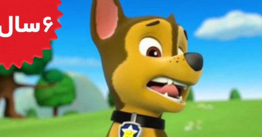 Paw Patrol.Pups Save a Toof