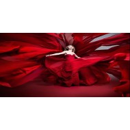 Lady in red_Chris de burgh (همراه با ترجمه)